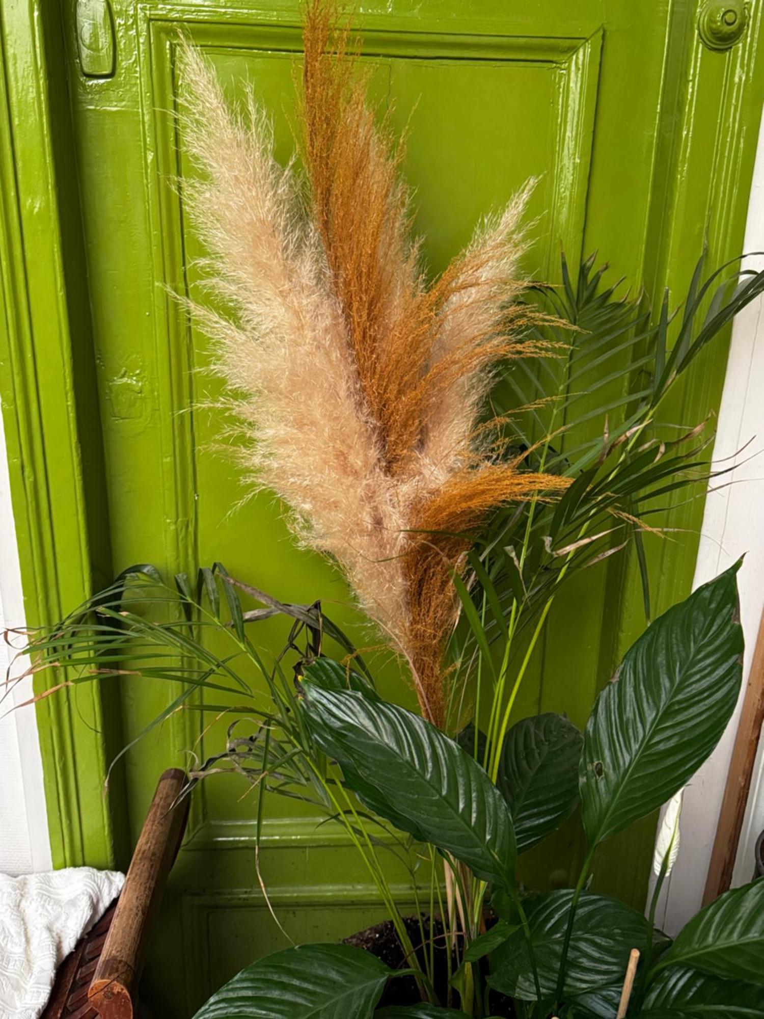 Most Charming Apartment Paris Center Екстериор снимка